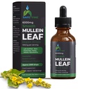 Organic Mullein Tincture Drops for Respirační zdraví - Natural Lung Support, Alcohol- Free, Vegan, Non-GMO, Herbal Extract, 2 fl oz (60ml) Natural Sleep Aid & Imunitation Support