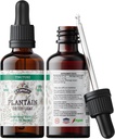 Plantain Tincture, Organic Plantain Extract (Plantago Major) Sušený listový doplněk zdraví, Non- GMO in Cold- Pressed Organic Zeleninové Glycerin 2 oz, 670 mg
