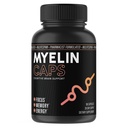 Myelin Caps, Příplatek k zdraví mozku, Focus Supplement & Brain Health with AlphaSize, Paměť a kognitivní funkce Podpora, Gluten- Free, Non- GMO (90 Kapsle)