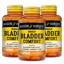 Mason Natural Denní močová měchýř Comfort, 30, Denní dodávky, s vápníkem, dýňová semena, a Soy Germ na podporu normální funkce močového měchýře, 60 Kapsle (balení po 3)