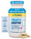 HEAL- N- SOOTHE Společné podpůrné doplňky - Proteolytické enzymy jako Bromelain & Papain, s boswellia, turmeric & Ginger- Promotes Protein Digestive Function & Body Defense Wellness- 60 Počet (1 balení)