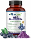 FineLand Wild Blueberry 10: 1 Extrakt, 6000 mg Síla, 120 Vegan Kapsle, Bohaté na Flavonoidy a antokyaniny, Antioxidant Podpora pro zdraví mozku a srdce, 4- měsíční dodávky, Non- GMO Made in USA