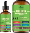 4-in-1 Mullein Drops for Lungs, Organic Mullein Leaf & Honeysuckle & Eucalyptus Leaf & Echinacea Extracts, for Lung Cleanse, Imunity & Respiration Support, Sugar- Free OF 124; Non- GMO Creditor 124; Vegan, 2 Fl oz