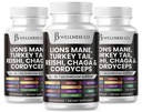 Lions Mane dodatek Kognitivní podpora, Imunitní zdraví s Turecko Tail 20in1 Houba Reishi Cordyceps Chaga s Marshmallow Root -180 Počet