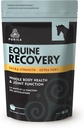 PURICA Equine Hyaluronic Acid - Koňský společný podpůrný dodatek s Glucosamine, MSM Powder, Betaine, Magnesium, Vitamin C a E - Zelený čaj a extrakt ze semen hroznů - Dodávky a ošetření koní