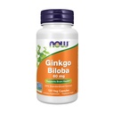 Nyní Potraviny Doplňky, Ginkgo Biloba 60 mg, 24% Standardizovaný extrakt, Non- GMO Projekt ověřen, 120 Veg Kapsle