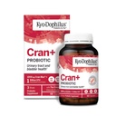 Kyolic Kyo- Dophilus Cran + Probiotický, močový trakt a močová měchýř Zdraví *, 60 Kapsle