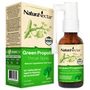 NaturaNectar - Green Propolis Krční sprej - Unikátní, uklidňující péče o hrdlo s Brazilskou Bee Propolis - Přírodní a non-alkoholické Krční péče Formule z udržitelné včelařství (1- Pack, 30ml)