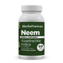 Herbsforever Neem Kapsle Azadirachta Indica Kožní dodatek 60 Vege Kapsle