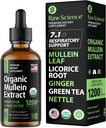 Organické Mullein Drops for Lungs - Respirační podpora & Mucus Relief - Lung Detox pro kuřáky: Mullein Leaf Extract, Licorice, Ginger, Oregano & Nettle Leaf, Thyme - Lung Cleanse Herbal Extract, 2oz