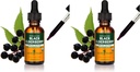 Herb Pharm Certified Organic Black Elderberry Liquid Extract pro podporu imunitního systému, Organic Cane Alkohol, 1 Oz (balení po 2)