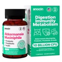 Akkermansia Muciniphila + Probiotic, Postbiotic & Inulin - Gut Health Supplement for Digestion, Imunitation Support - 10 miliard CFU, Vegan & gluten- Free