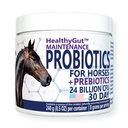 HealthyGut ™ Probiotika pro koně doplněk stravy, All- Natural trávicí systém Údržba Formule (30 dní)