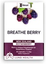 Dýchejte Berry Boysenberry přírodní zdravé plíce dodatek, podporuje hruď zácpa, Mucus a zvyšuje celkové dýchání Wellness zdravé plíce dodatek