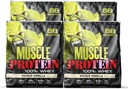 BARVENČNÍ LABS Svalová syrovátka ochucená proteinem prášek, 25,000mg aminokyselin / servírování, studená filtrovaná (balení května Vary) (20 liber (balení po 4), vanilka)