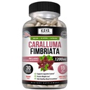 Kaya Naturals - Caralluma Fimbriata 1200mg Dodatek vysoké potence 124; Maximální síla přírodní vytrvalost podpora, Vegetariánské kapsle (30 Počet)