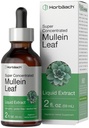 Horbäach Mullein Leaf Extract Kapky 124; 2 fl oz crust 124; Alkohol zdarma tekuté tinktury 124; Vegetarian, Non- GMO & gluten zdarma bylinný dodatek