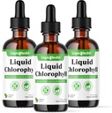 LIQUIDHELTH Liquid Chlorofyl Kapky - vnitřní deodorant, antioxidanty, jaterní detox, imunitní podpora, Relieve Bad Breath, Redukovat Appetit, Kolagen pro vlasy a kůži zdraví - Vegan, Non- GMO (3 balení)