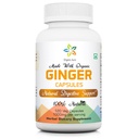 Organic Aura Ginger Kapsle - 120 Veg Kapsle. 2 Měsíční dodávky. Přirozeně zvyšuje trávení, úlevu od žaludku a zlepšuje imunitu. Žádný GMO a gluten Free.