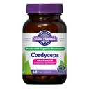Oregon je Wild Harvest Cordyceps Organic Houbový bylinný dodatek (Freeze- sušený) 124; Vytrvalost a podpora Stamina, 60 Počet