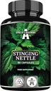 APOLLO 'S HEGEMONY String Nettle 500 mg - Vysokopevnostní extrakt DER 4: 1, 90 Vegan Kapsle, 3 měsíce Dodávka, Bylinný dodatek k podpoře kardiovaskulárního zdraví
