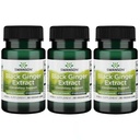 Swanson Black Ginger Extract - Podporuje zdravý krevní oběh a fyzickou vigor - May Aid Heart Health, Muscle Tissue, a duševní pohodu - (30 Veggie Kapsle, 100mg každý) (3 balení)