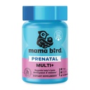 Nejlepší Nest Wellness Mam Bird Prenatal Multi Plus - Prenatální doplněk péče podporuje Brain & Digestivní zdraví - Vegan Multivitamin s L-Methylfolátem, Probiotika & Více - 30 Kapsle (30 Služeb)