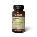 Příroda Sunshine Slippery Elm 100 Kapsle