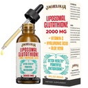 Lipozomální Glutathione Liquid 2000MG - Antioxidant Detox dodatek pro ženy a muže, stárnutí obrany, funkce jater a energie, s Hyaluronic acid + Aloe Vera + Vitamin C, přírodní & Vegan, 2 FL.OZ
