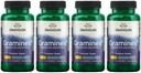 Swanson Maximální síla Graminex Flower Pollen Extract - Podporuje Prostate Health, Močové Tract Function, and Ledney Health - Mens Health Supplement - (60 kapslí, 500mg každý) (4 balení)