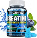 Kreatin Monohydrát 5g per Serving, No Cukr Creatine Doplňky Podpora pro sílu, Výkon, Energie, Zotavení, Gluten- Free Creatin pro ženy a muže, Blueberry Flavor (30 Gummies109)