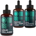 WILD FUEL tekutý kolagen, mořský kolagen a tekutý chlorofyl Krása a Wellness Bundle