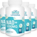 Lipozomální NAD + dodatek 1000 mg PHARMAN 124; nejvyšší NAD Pontechy PHARMAN 124; Max Absorpční GARMAN 124; čistý NAD doplněk PHARMAN 124; Opravy energie a DNA, aging defense, Brain Function PHARMAL 124; 240 Softgels