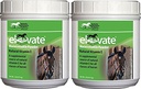 Kentucky Performance Products 2 Balení Elevate Maintenance Power, 2 litry každý, přírodní vitamín E Koňský dodatek