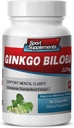 Mozkové doplňky pro paměť a zaměření - Ginkgo BILOBA 120MG - Gingko biloba Plant, Focus doplňky pro dospělé, Gingko biloba doplňky, Ginko biloba pilulky přírodní, doplněk paměti - 1B 60 Caps