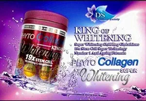 Phyto Kolagen Whitening 19X STEM CELL Anti- Aging Pro Whitening Výsledky Energy