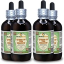 Queen of The Meadow (Eupatorium Purpureum) Glycerit, Organic Sured Herb Alcohol- Free Liquid Extract (Značka: HerbalTerra, Proudly Made in USA) 4x4 fl.oz (4x120 ml)