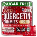 JOYLI Quercetin Gummies - Quercetin s bromelainovým zinkem Vitamin C & Vitamin D3 - Quercetin dodatek 500MG pro imunitní systém a alergie - Quercetin pro děti a dospělé - 60 Quercetin Chewable