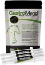 SynChill 3 Pack + GastroMend Bundle for Horses - Komplexní žaludeční zdraví a behaviorální podpora, AIDS v Gastric Ulcer Relief, Promotes Calmness & Focus, All Natural, Náklady efektivní