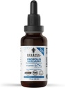 BEE a vy tekutý propolis extrakt, voda rozpustný, Vitamíny D3 + K2, vysoký potenciál, imunitní podpůrný dodatek, Sore Throat Relief, Antioxidanty, Keto, Paleo, gluten- free, 1 Fl Oz (1 balení)