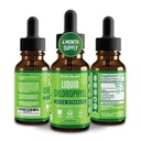 Premium chlorofyl kapalné kapky - 100% přírodní a gluten zdarma tekutý chlorofyl - Non GMO, 118 Doručování