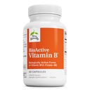 Terry Přirozeně bioaktivní vitamin B - AIDS Heart Health s bioaktivními B vitaminy - dodatek s folátem a vápníkem - B Komplex vitaminu na podporu funkce nervového systému - 60 Kapsle