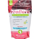 Probiotika pro Dogs- Complete Gut Health & Imunitní podpora. Snadné použití trávicí multi- stravovací probiotika. Jednodušší dietní přechody, zdravější pleť & Coat & Pomáhá léčit průjem. 60 měkkých žvýkaček