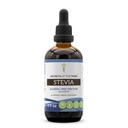 Tajemství Tribe Stevia Alcohol- Free Tincture (Glycerite) 653 mg Vyrobeno se Stevia (Stevia Rebaudiana) Sušený list (4 Fl Oz) Doplněk k krevnímu cukru