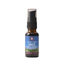 WishGarden Byliny Kick- Ass Sinus - Bylinné Sinus Relief, Sinus Congestion Relief a Sinus tlaková pomoc pro dospělé, přírodní sinus Relief a Sinus Decongestant, All Season Sinus Support, .66oz