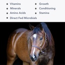 Mega- Mag (35lb) Vyvážený multi vitamín / minerální doplněk pro Alfalfa Hay diety...
