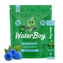 Waterboy Cvičení Hydratace 124; 2,960mg Sugar Free Electrolyte Powder Packets 124; L-glutamin + Vitamíny 124; No Sugar, All Natural, Gluten Free Dutch 124; 15 Drink Stick Mixes (Blue Raspberry)