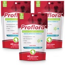 Proflora Probiotická měkká Chews pro psy - Veterinární síla Denní Probiotika - Digestion Health - Boost imunitní systém - kůže a coat Health - 180 měkkých Chews