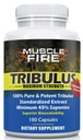 Bylinná výživa Tribulus Terrestris, bulharský, 1500mg 45% saponiny, Lecitin pro lepší aktualizaci, 180 Kapsle, Jedna láhev...
