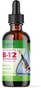 LIQUIDHELTH vitamin B12 Methylkobalamin kapalné kapky s sublingvální hydroxokobalamin - zvýšení energie, podpora imunitního systému, zlepšení paměti a koncentrace - Vyrobeno v USA, Vegan, Non- GMO (2 oz)
